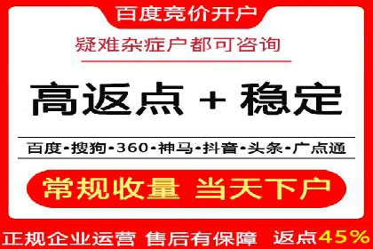 百度竞价代运营实战：某电商平台的销量翻倍秘诀